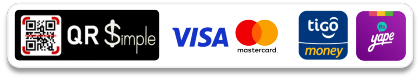 woo payments standar